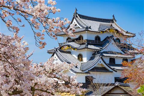 彦根城（4月頃撮影）